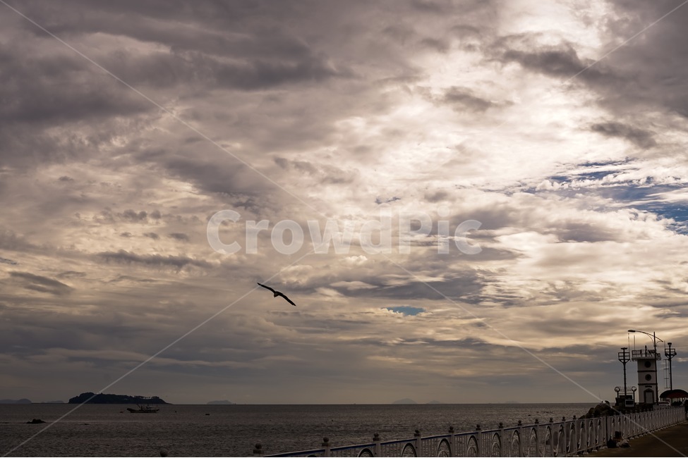 안면도,바다,풍경,갈매기,하늘,구름,햇빛,노을,sky,sunshine,gull,scenery,sunset,cloud,등대,lighthouse,방파제,자연,풍경,nature,landscape,animal,동물,bird,새