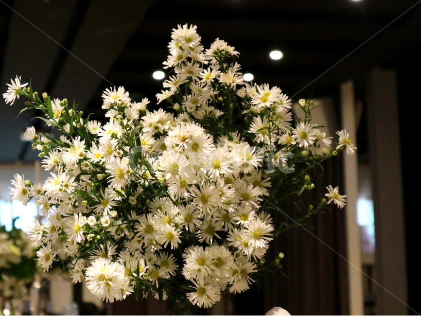 봄,결혼식,flower,flowerarrangement,꽃부케,웨딩