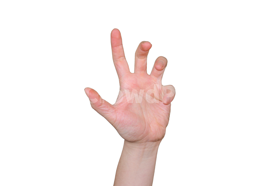 갈망,손,손가락,손동작,손모양,손목,사인,사람,인간,표현,표시,제스쳐,hand,human,person,wrist,신체일부,몸,body