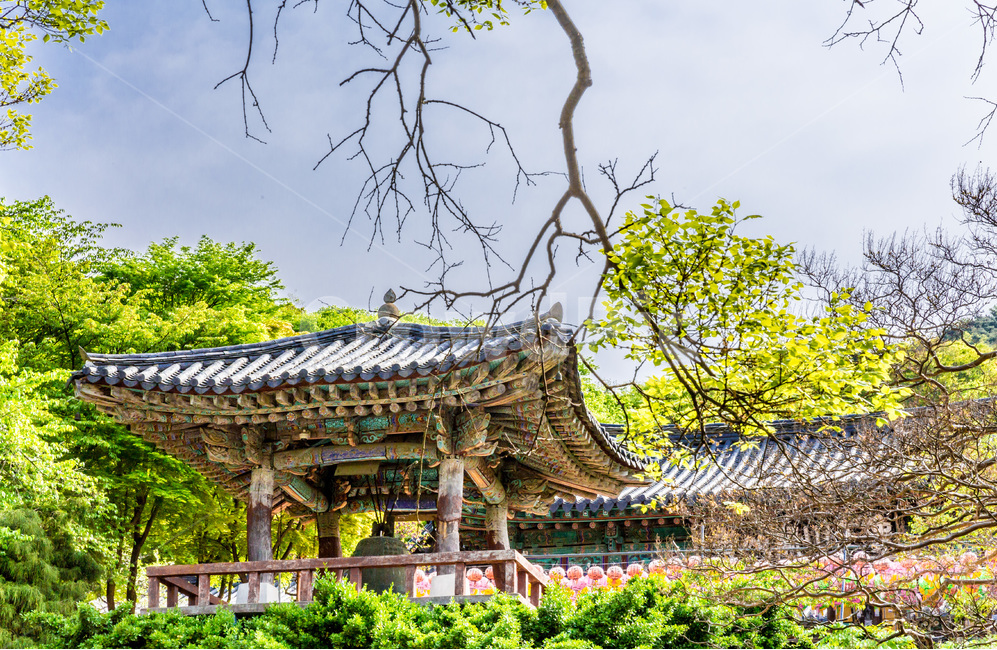 전통,사찰,관광지,풍경,한국의미,한국전통,한국문화,korean traditional,korean culture,종교,신앙,religion,belief,faith,건축물,건물외관,exterior,building,structure,architecture,construction