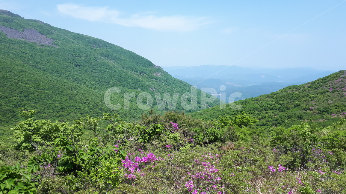 nature,countryside,언덕,hill,자연
