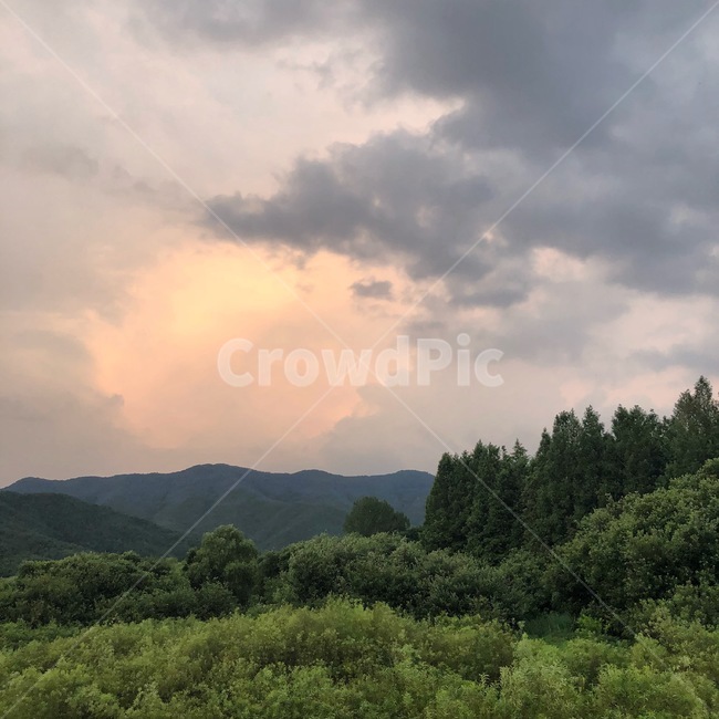 구름,하늘,자연,풍경,나무,숲,산,노을