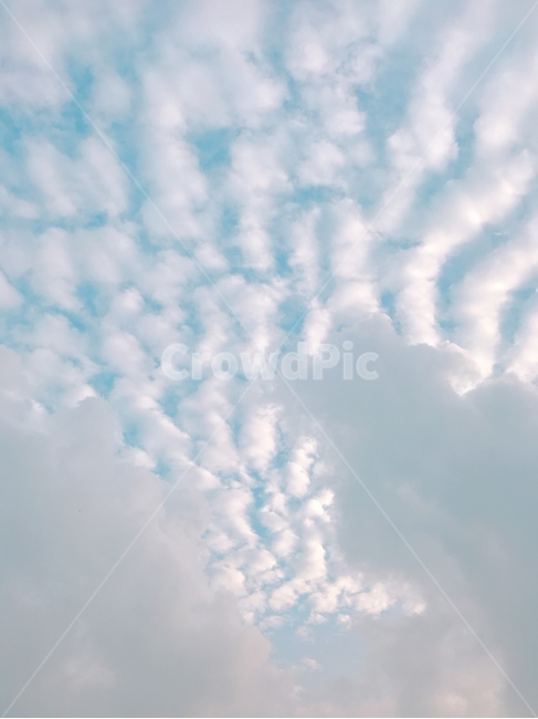 구름,하늘,고적운,cloud,sky