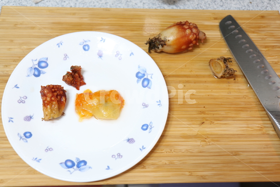 멍게,해물,싱싱한,재료,손질,주방,싱크대,도마,음식,푸드,해산물,음식,식재료,요리,food,cook,meal,dishes,food reserves,수산물,해산물,fishery products,seafood