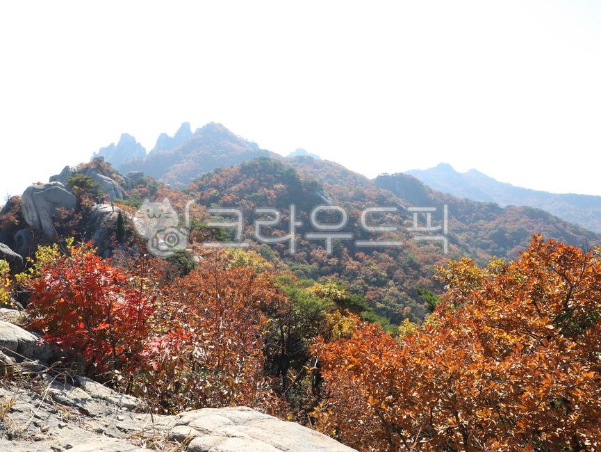 가을, 단풍, 산, 풍경, 능선, 사진,이미지,일러스트,캘리그라피 - 나홀로작가
