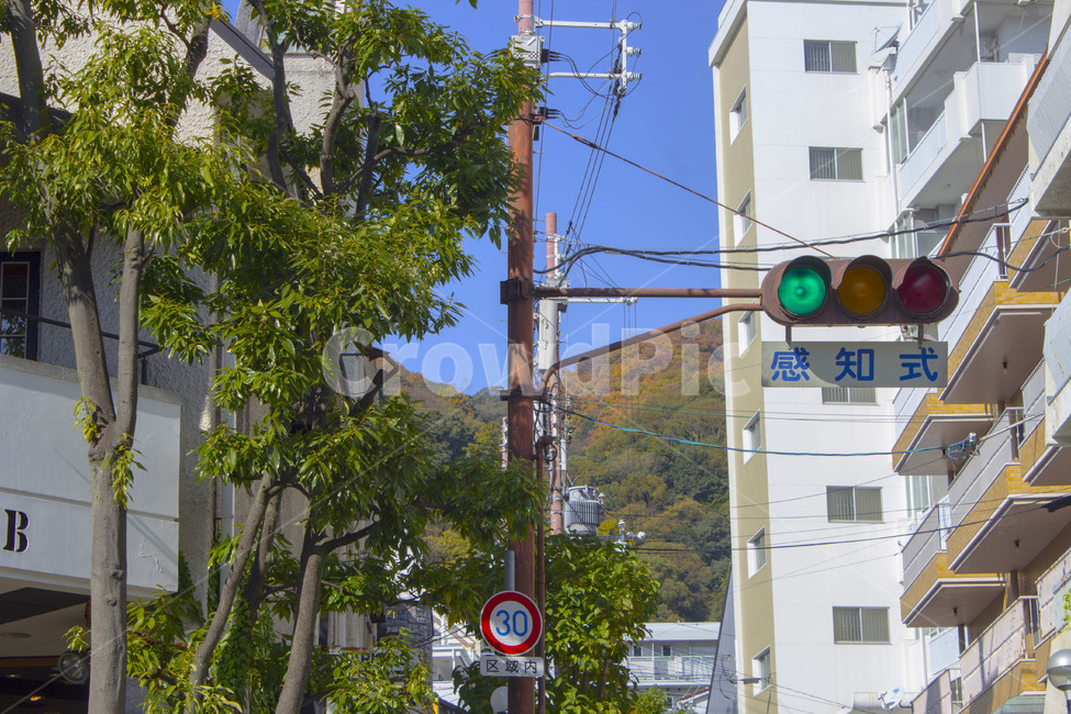 신호등,일본,해외,외국,osaka,japan,oversea,world