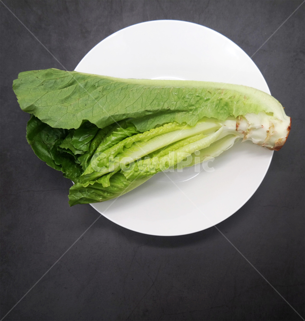 채소,야채,상추,로메인,샐러드,녹색,건강,채식주의자,채식,vegetable,lettuce,건강,헬스웨어,헬스케어,healthware,health care,채소,야채,vegetables