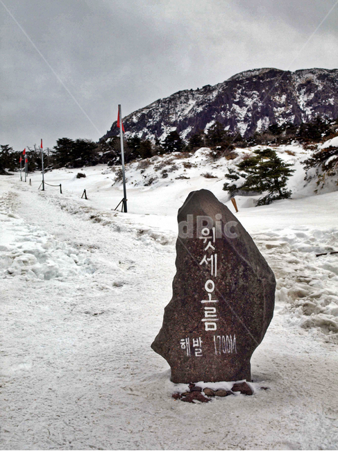 어리목,한라산,제주도,겨울,겨울산,설화,설목,설경,눈,등산,윗세오름,표지석,겨울,계절,winter,season,자연,풍경,nature,landscape