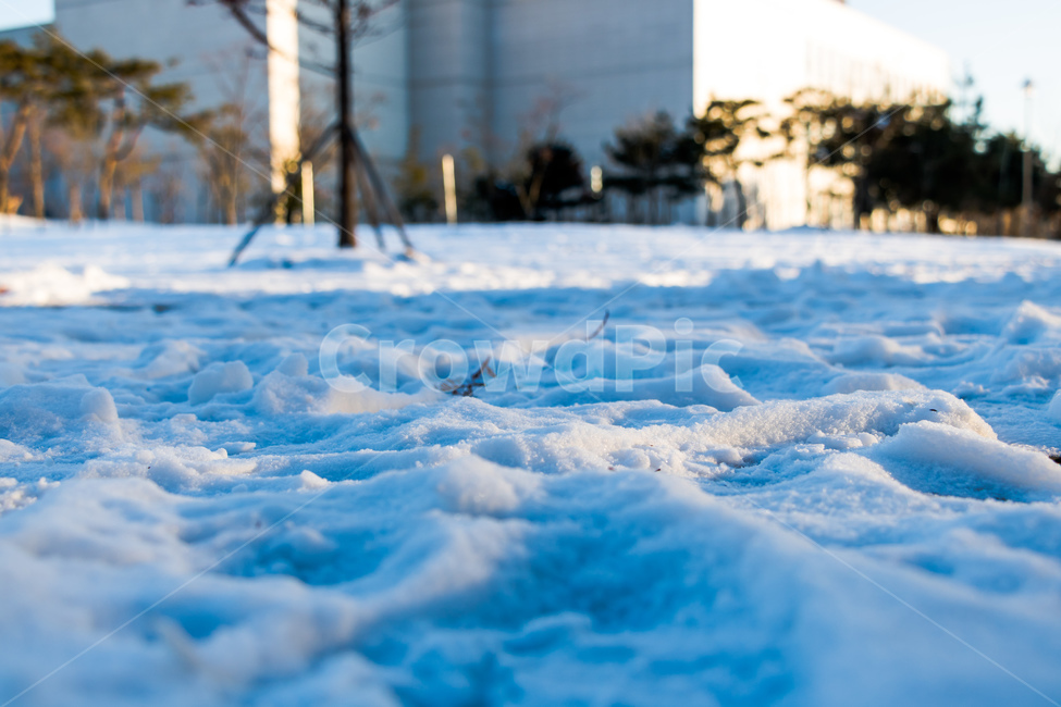 눈,겨울,푸른,땅,나무,스노우,snow,겨울,계절,winter,season,자연,풍경,nature,landscape,outdoors,옥외