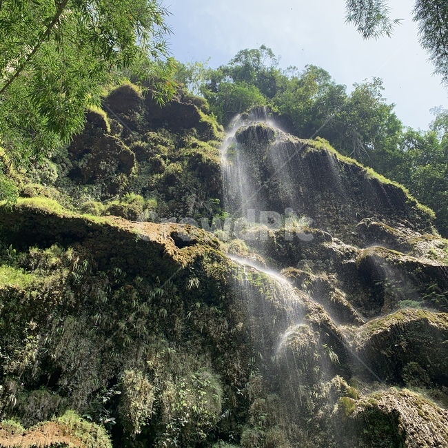 자연,폭포,물,여름,nature