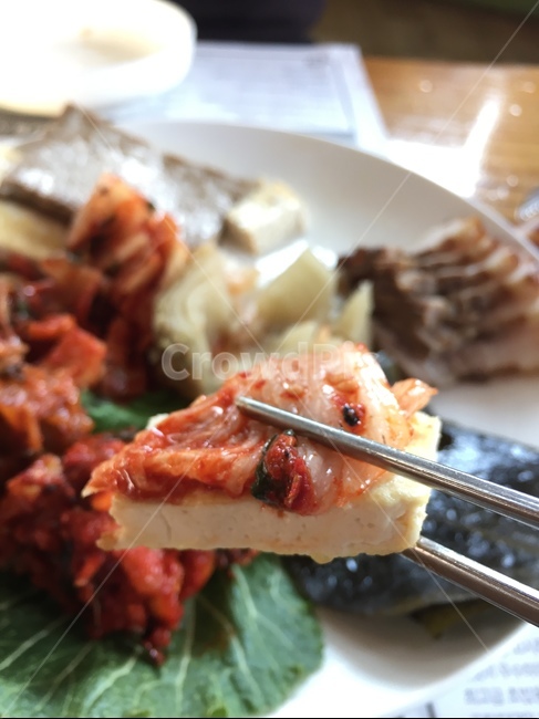 두부,김치,두부김치,김치두부,맛있는두부김치,음식,식재료,요리,food,cook,meal,dishes,food reserves,한식,한국음식,한국요리,korean food,korean dishes,korean meal,korean cook