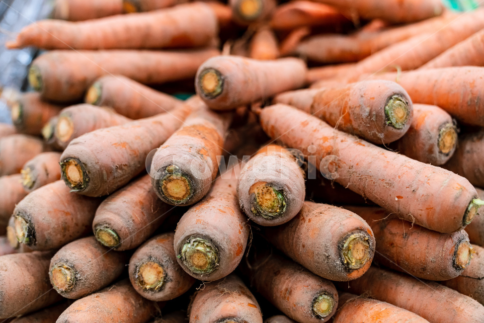 당근,둥근,길쭉한,뿌리,식물,쌍떡잎,두해살이,식재료,음식,야채,채소,주황색,요리,반찬,조리,접사,농사,농산물,시장,맛있는,단단한,저칼로리,다이어트,항산화,건강,먹거리,음식,식재료,요리,food,cook,meal,dishes,food reserves,채소,야채,vegetables
