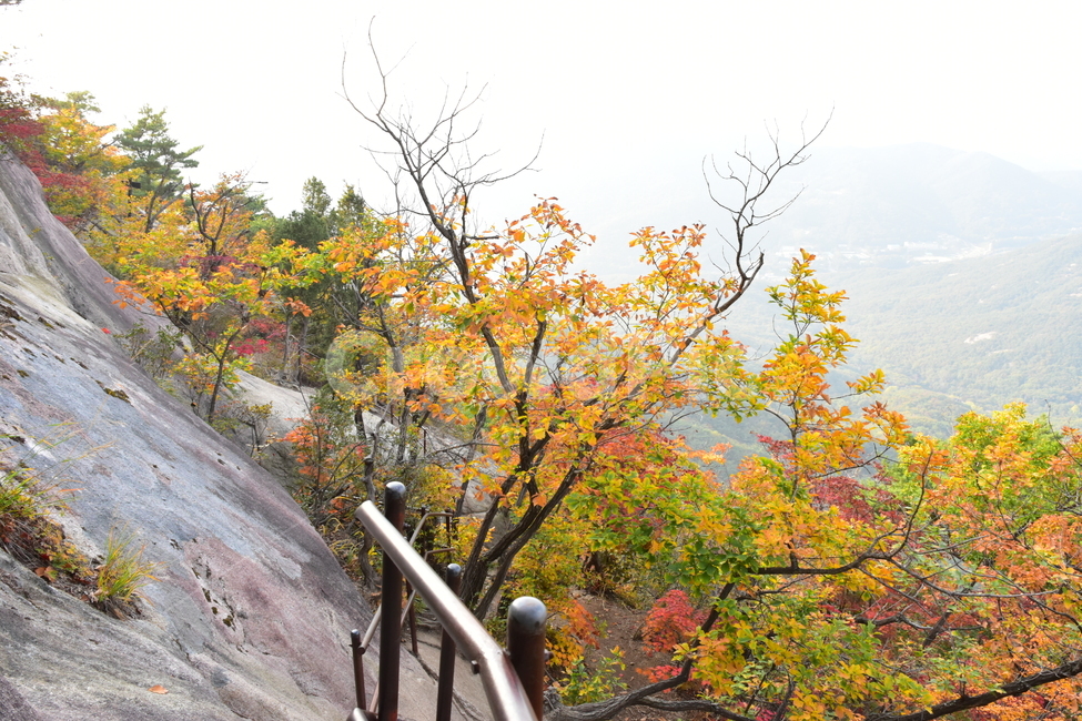 가을,단풍,자연,풍경,북한산,잎,단풍잎,붉은,나무,계절,계곡,숲,힐링,plant,fall,autumn,season,forestnature,landscape,한국자연풍경,한국자연경관,korea,tree,maple,leaf,가을,계절,fall,autumn,season,자연,풍경,nature,landscape,식물,plants,나무,trees,wood,banister,난간,handrail