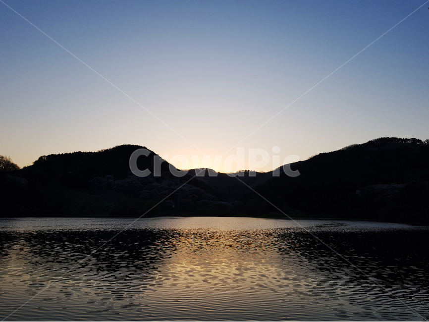 호수,저수지,반영,새벽,거울,벚꽃,자연,풍경,nature,landscape,한국자연풍경,한국자연경관,korea nature landscape,water,물,outdoors,옥외