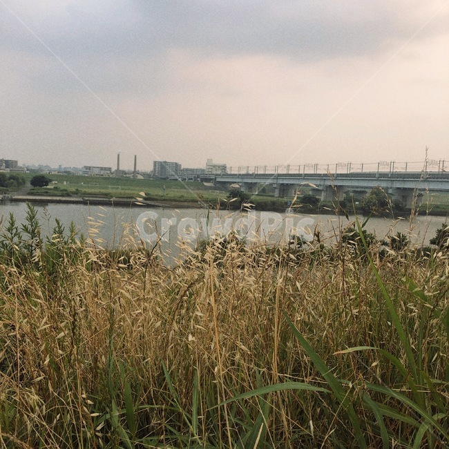 자연,공원,호수,풍경,경치