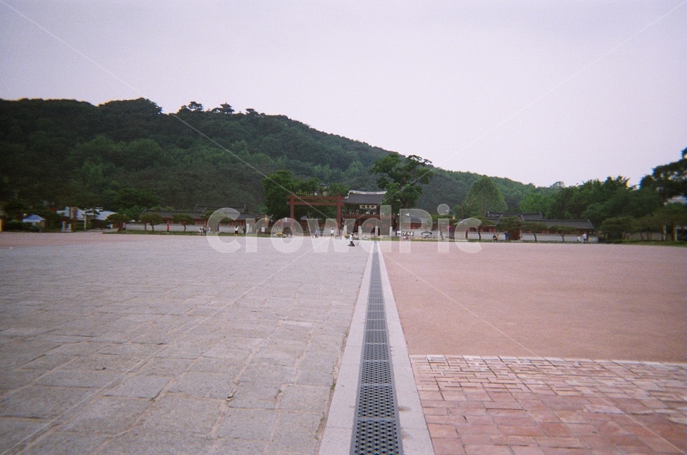 화성행궁,가운데,길,필름카메라,아날로그,한국전통,한국문화,korean traditional,korean culture,랜드마크,landmark,tourist attraction,한국랜드마크,한국관광지,한국명소,korea landmark,korea tourist attraction