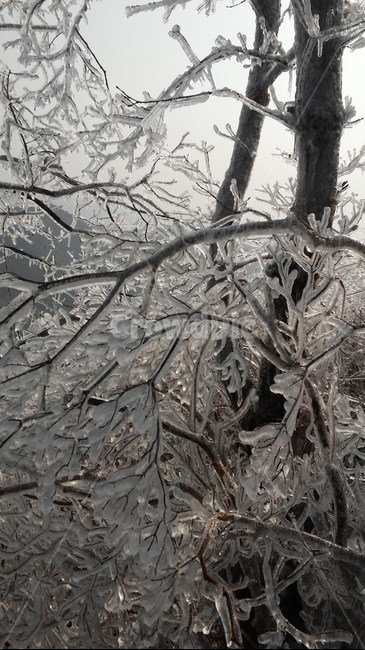겨울왕국,얼음,설산,눈,등산,겨울,계절,winter,season