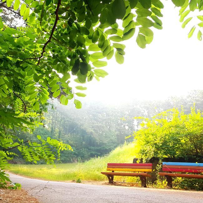 휴식,의자,아침,벤치,힐링,휴식,힐링,rest,relaxation,healing