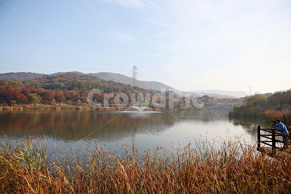인천대공원,공원,호수,이침,단풍,안개,나무,울긋불긋,가을,식물,자연,풍경,낙엽,하늘,가을,계절,fall,autumn,season,자연,풍경,nature,landscape,water,물,outdoors,옥외