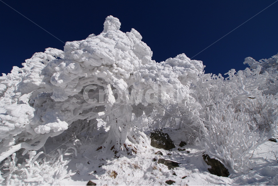 덕유산,상고대,설경,무주,겨울,겨울,계절,winter,season,자연,풍경,nature,landscape,outdoors,옥외,snow,눈,frost,서리