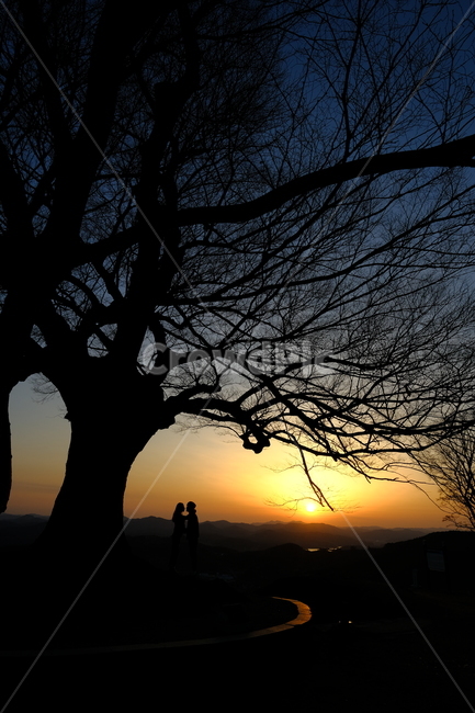 일몰,커플,사랑,실루엣,여행,식물,자연,plants,nature,나무,trees,wood,연인,커플,사랑,lover,couple,인물실루엣,사람실루엣,character silhouette,human silhouette,outdoors,옥외,silhouette,sunlight,햇빛,person,사람,human,인간,sunset,dawn,새벽,dusk,황혼,red sky,붉은 하늘,sky,하늘
