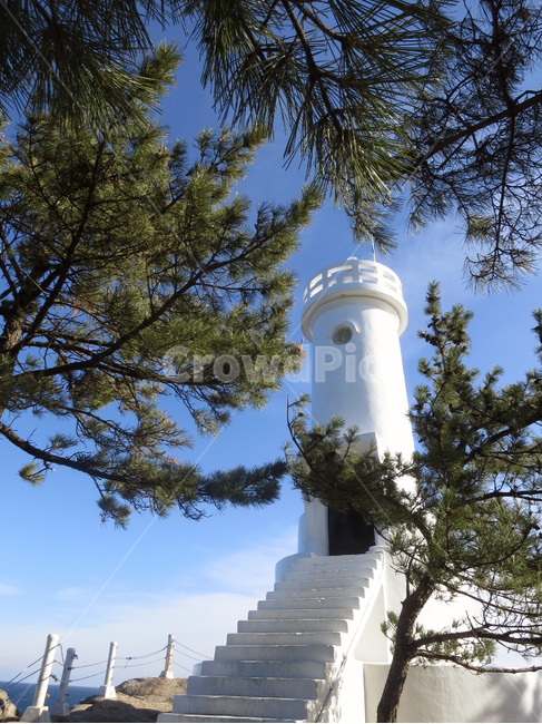 하조대,등대,소나무,하늘,바다,구름,계단,바닷가,나무,sky,finetree,tree,sea,ocean,cloud,등대,lighthouse