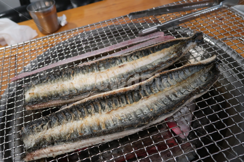 물고기,fish,sealife,해양생물,장어,장어구이,불판