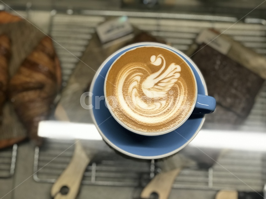 커피,라떼아트,커피아트,백조,카페라떼,coffee,latteart,coffeeart,swan,cafelatte,음료수,drink,beverage,커피,카페,coffee,cafe