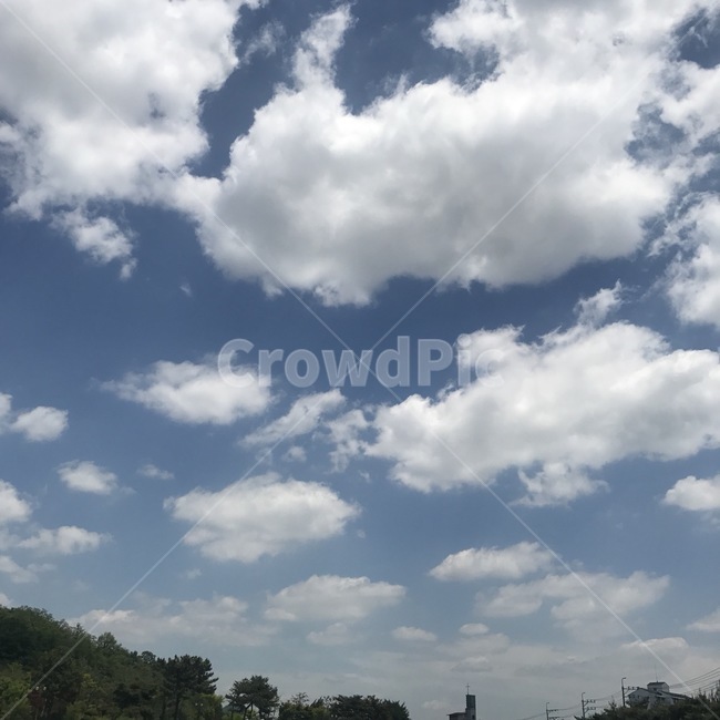 나무,하늘,구름,뭉게구름,sky,cloud,white,blue,tree