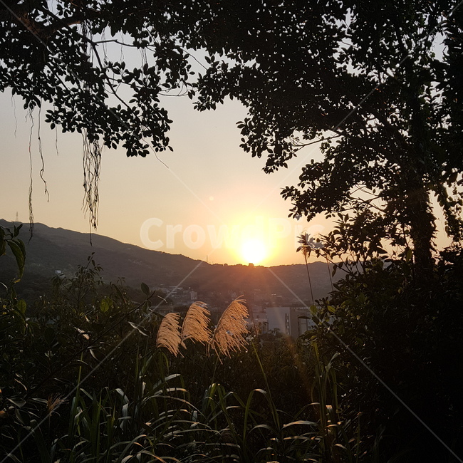 산,일몰,해,노을,자연,자연,풍경,nature,landscape,grass,잔디,plant,식물,light,빛,flare,플레어,sunlight,햇빛