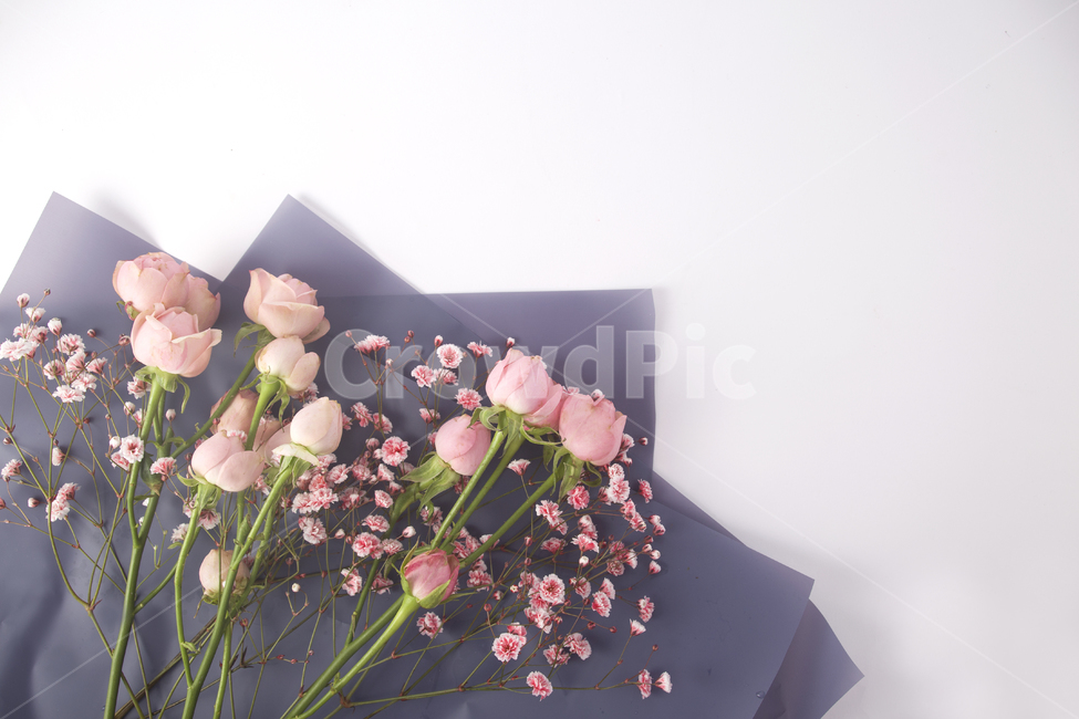 꽃다발,꽃,꽃송이,핑크,핑크꽃,꽃잎,라넌큘러스,장미,장미꽃,안개꽃,배경화면,포장,포장지,꽃,flower,기념일,축하,anniversary,congratulation,celebrate,celebration