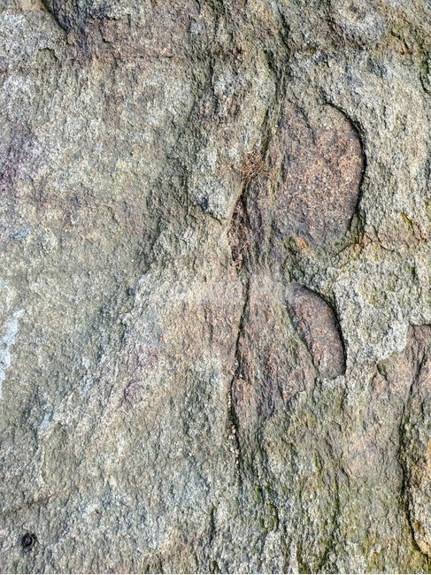 바위,돌,질감,texture,rock,자연,텍스처,질감,패턴,texture,pattern