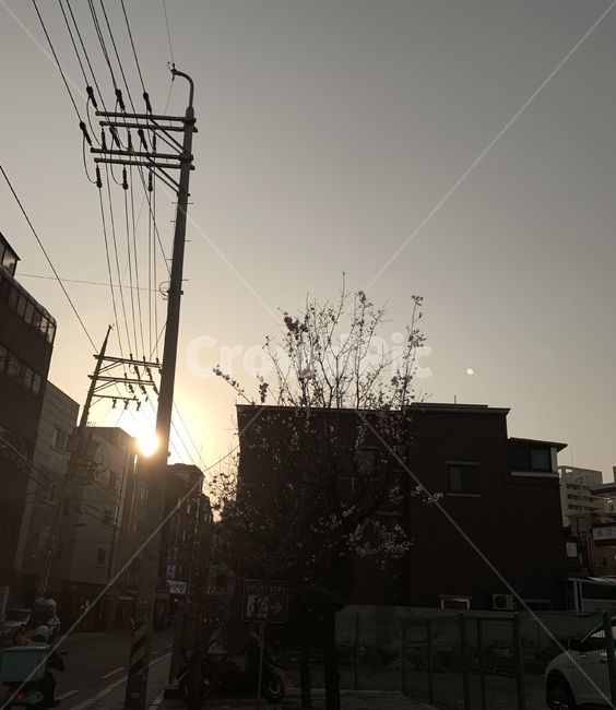 하늘,노을,대학교,구름,길거리