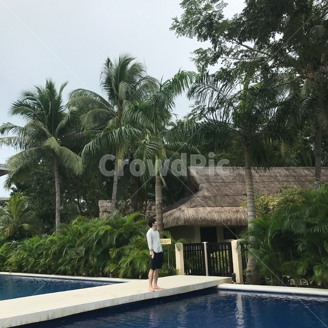 수영장,리조트,남자,야자수,방갈로,휴양지,휴식,사람,인물,인간,human,person,남성,남자,man,male,여행,휴가,traveling,vacation,trip
