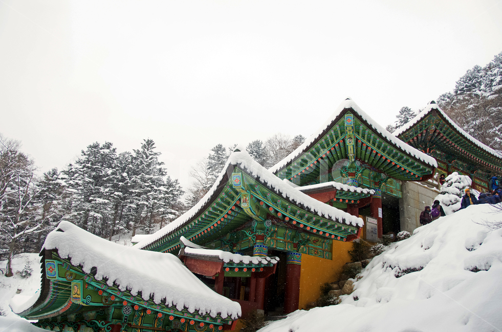 오대산,강원도,사찰,불교사찰,설경,사자암,암자,겨울,계절,winter,season,한국전통,한국문화,korean traditional,korean culture,종교,신앙,religion,belief,faith