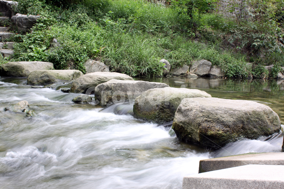 물흐름,징검다리,청계천,물살,water,물,nature,자연,outdoors,옥외,stream,creek,작은만,자연,풍경,nature,landscape,흐름,작은 만
