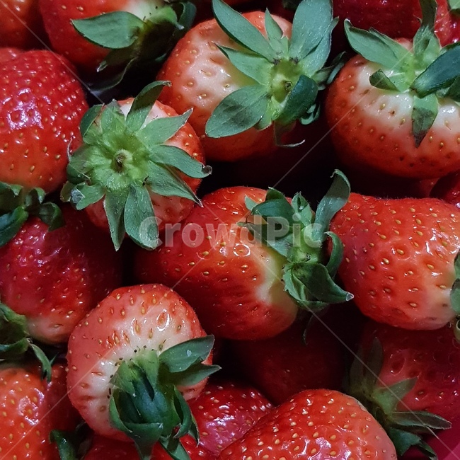 fruit,과일,food,음식,strawberry,딸기,음식,식재료,요리,food,cook,meal,dishes,food reserves,과일,열매,fruit