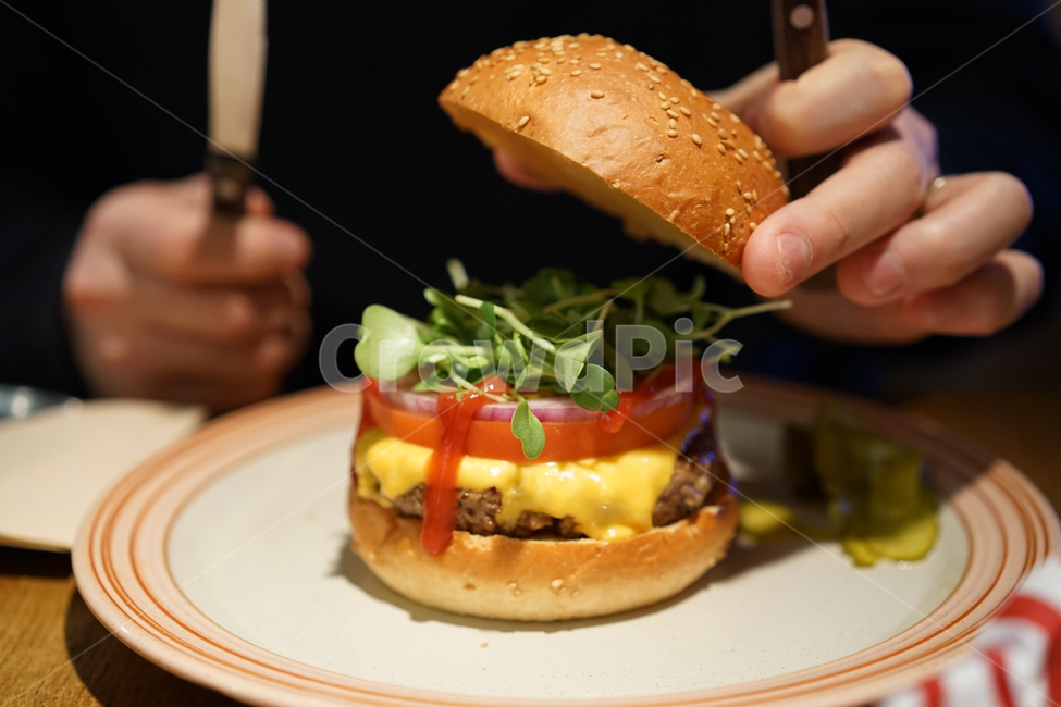 음식,요리,푸드,food,햄버거,버거,수제버거,패스트푸드,사람,인물,인간,human,person,신체일부,몸,body,음식,식재료,요리,food,cook,meal,dishes,food reserves,양식,서양음식,서양요리,western food,western dishes,western meal,western cook