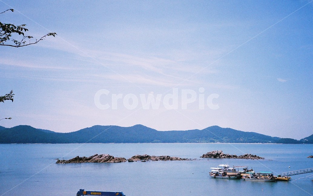 필름,필름사진,film,바다,sea,자연,nature,섬,island,나무