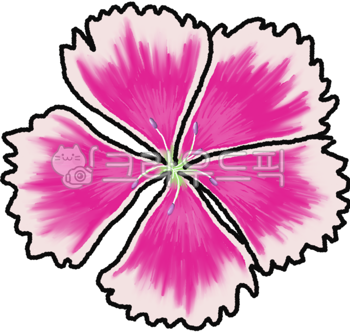 Pansy,summer flower,pink flower,light and airy,pretty flower