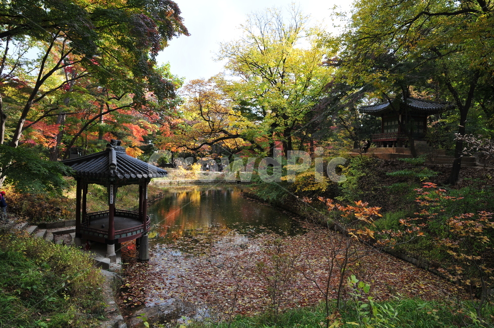 창덕궁,후원,비원,관람지,관람정,가을,단풍,고궁,한국전통,한국문화,korean traditional,korean culture,건축물,건물외관,exterior,building,structure,architecture,construction