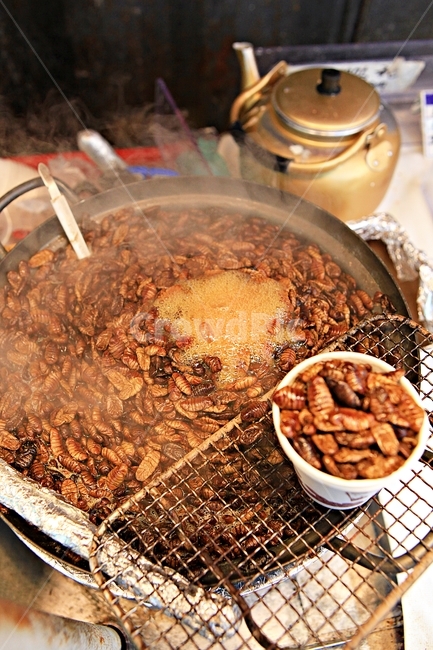 뻔데기,누에,벌레,음식,식자재,음식,식재료,요리,food,cook,meal,dishes,food reserves