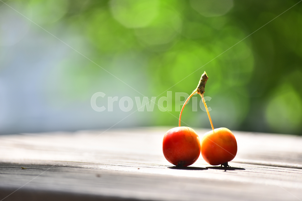 사과,애기사과,능금,과일,식용,음식,푸드,apple,fruit,간식,디저트,먹거리,구연산,달콤,새콤,나무열매,열매,food,plant,배경,바탕,백그라운드,background,빨강색,레드,식물,과일,열매,fruit