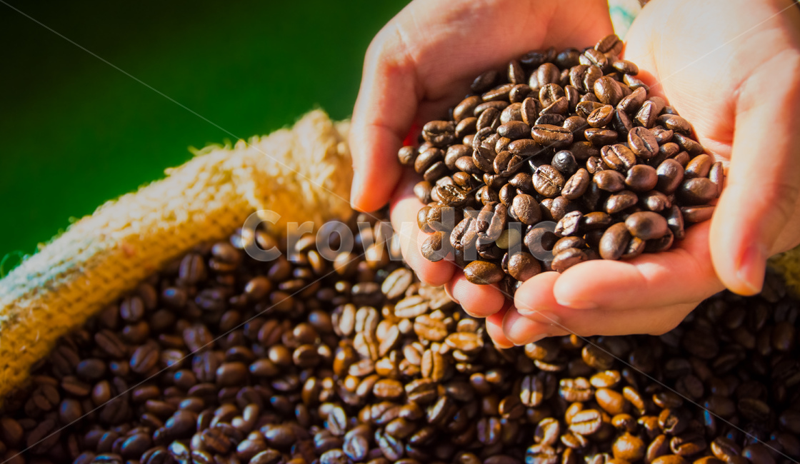 close up,roasting coffee beans,coffeebeen,concept,coffee beans,coffee ingredients,background,coffee,beans,coffeebeans,object,Caffeine