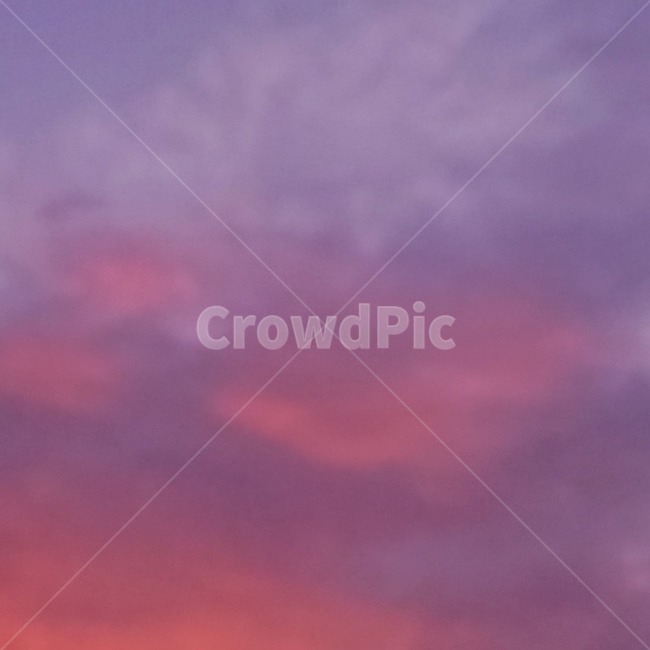 nature,자연,sky,하늘,분위기,보라색,분홍색,mood,violet,purple,pink,cloudy,저녁,노을,석양,sunset,일몰