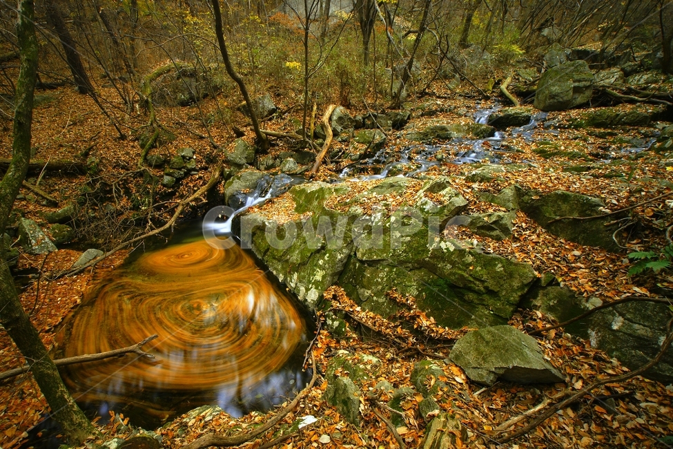 계룡산,물돌이,게곡,풍경,가을,자연,풍경,nature,landscape,water,물