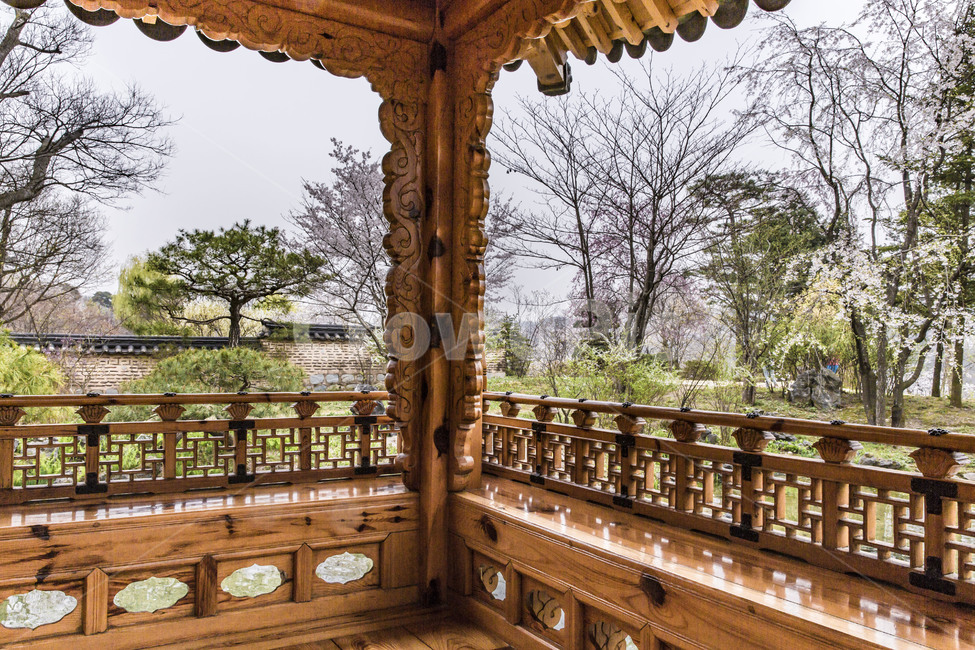 용인호암미술관,정자,관음정,정원,후원,풍경,봄,관광지