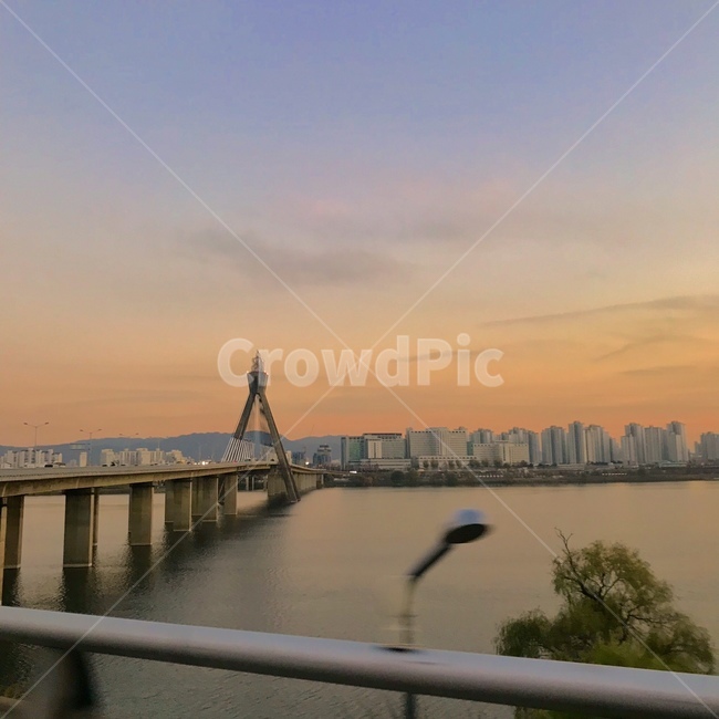 대한민국,서울,올림픽대교,노을,퇴근후,도시,풍경,city,landscape,water,물,handrail,난간,banister,bird,새,animal,동물,waterfront,워터 프론트,railing