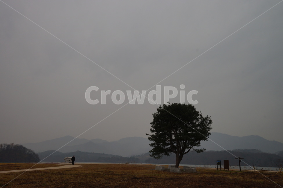나무,가을,비,가을비,스산한,가을,계절,fall,autumn,season,자연,풍경,nature,landscape,한국자연풍경,한국자연경관,korea nature landscape,식물,plants,나무,trees,wood,person,사람,human,인간,tree,plant