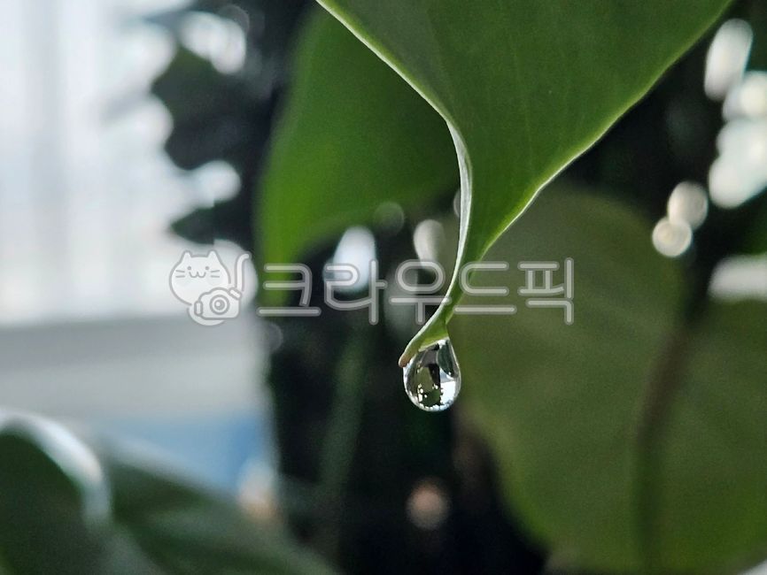 waterdroplets,water drop,dewdrop,droplet,dropofwater,smalldroplets,dewdrops,water